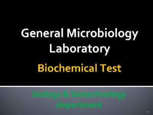 General Microbiology Laboratory Biochemical Test biology biotechnology department