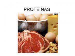 PROTEINAS Concepto de protenas La palabra protena viene