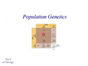 Population Genetics Unit 4 AP Biology Population Genetics