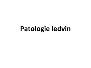 Patologie ledvin Histologick stavba ledviny Glomeruly Tubuly Intersticium