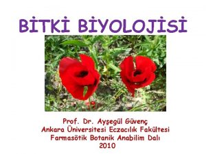 BTK BYOLOJS Prof Dr Ayegl Gven Ankara niversitesi