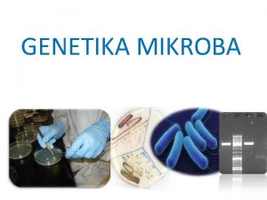 GENETIKA MIKROBA Informasi herediter diberikan oleh asam nukleat