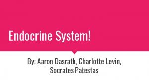 Endocrine System By Aaron Dasrath Charlotte Levin Socrates