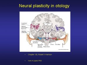 Neural plasticity in otology Chapter 132 Robert V