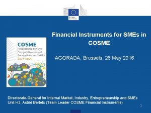 Financial Instruments for SMEs in COSME AGORADA Brussels