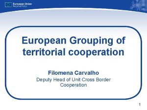 European Grouping of territorial cooperation Filomena Carvalho Deputy