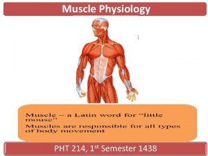 Muscle Physiology 1 Functional Features of Muscles Contractility