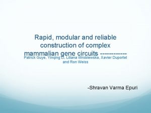 Rapid modular and reliable construction of complex mammalian