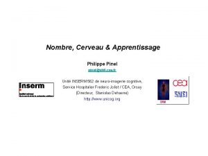 Nombre Cerveau Apprentissage Philippe Pinel pinelshfj cea fr