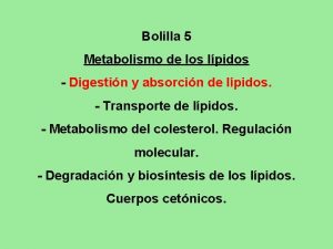 Bolilla 5 Metabolismo de los lpidos Digestin y