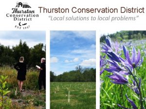 Thurston Conservation District Local solutions to local problems