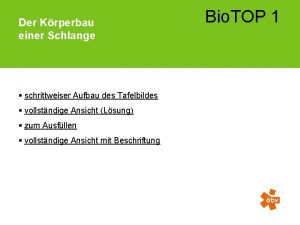 Der Krperbau einer Schlange schrittweiser Aufbau des Tafelbildes