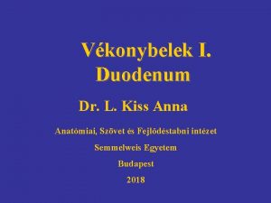 Vkonybelek I Duodenum Dr L Kiss Anna Anatmiai