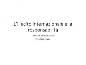 Lillecito internazionale e la responsabilit Trieste 25 novembre