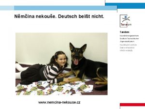 Nmina nekoue Deutsch beit nicht Tandem Koordinierungszentrum DeutschTschechischer