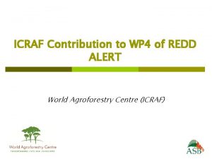 ICRAF Contribution to WP 4 of REDD ALERT