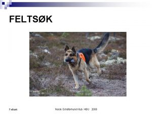 FELTSK Feltsk Norsk Schferhund Klub HBU 2008 INNLEDNING