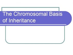 The Chromosomal Basis of Inheritance Chromosomal Theory of