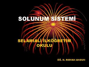 SOLUNUM SSTEM SELAMAL LKRETM OKULU H RIDVAN ANGUN