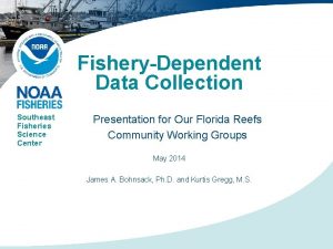 FisheryDependent Data Collection Southeast Fisheries Science Center Presentation