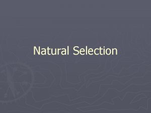 Natural Selection Natural Selection The unequal survival and