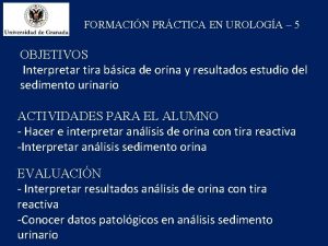 FORMACIN PRCTICA EN UROLOGA 5 OBJETIVOS Interpretar tira