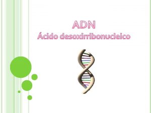 ADN cido desoxirribonucleico ADN Cmo est formado Funciones