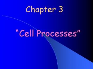 Chapter 3 Cell Processes Bellwork 13 l Copy