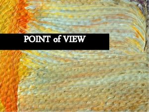 POINT of VIEW 1 st Person POV n