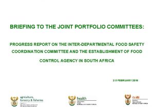 BRIEFING TO THE JOINT PORTFOLIO COMMITTEES PROGRESS REPORT