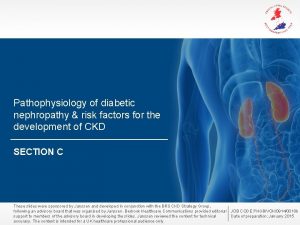 Pathophysiology of diabetic nephropathy risk factors for the