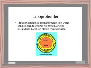 Lipoprotein snflandrlmas TG Chol LPE ilomikron 86 3