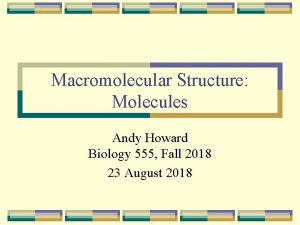 Macromolecular Structure Molecules Andy Howard Biology 555 Fall