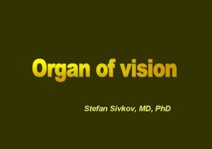 Stefan Sivkov MD Ph D Development Onset 22
