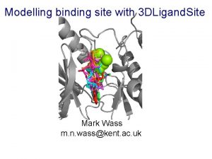 Modelling binding site with 3 DLigand Site Mark