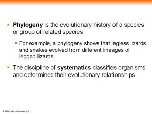 Phylogeny is the evolutionary history of a species