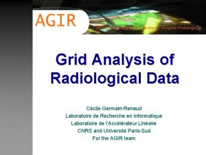 Analuse Globalise des Donnes d Imagerie Radiologique Grid