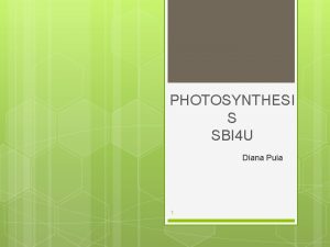 PHOTOSYNTHESI S SBI 4 U Diana Puia 1