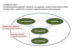 Ecologia microbica Ecosistema nicchia spaziale ambiente con organismi
