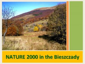 NATURE 2000 in the Bieszczady Areas of the