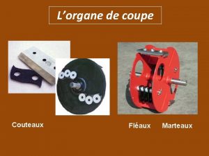 Lorgane de coupe Couteaux Flaux Marteaux Lorgane de