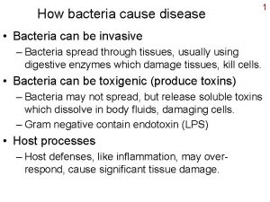 How bacteria cause disease 1 Bacteria can be