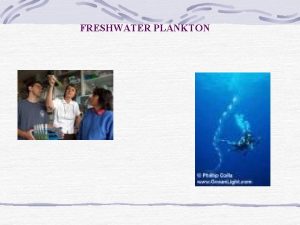 FRESHWATER PLANKTON FRESHWATER PLANKTON FRESHWATER PLANKTON Freshwater plankton
