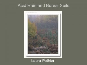 Acid Rain and Boreal Soils Laura Pothier What