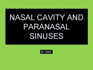 NASAL CAVITY AND PARANASAL SINUSES Dr Vohra THE