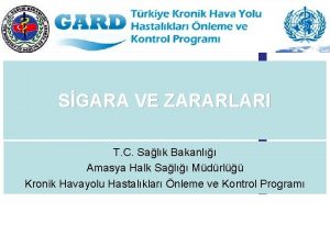 SGARA VE ZARARLARI T C Salk Bakanl Amasya