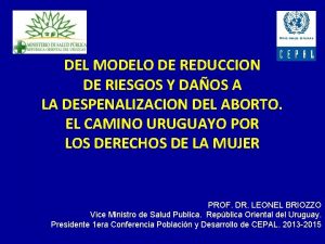 DEL MODELO DE REDUCCION DE RIESGOS Y DAOS