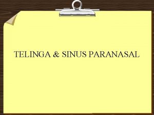 TELINGA SINUS PARANASAL TELINGA TDD TLG LUAR TLG