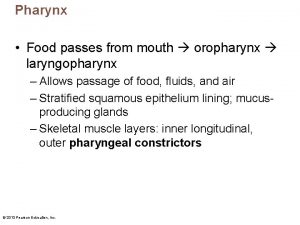 Pharynx Food passes from mouth oropharynx laryngopharynx Allows