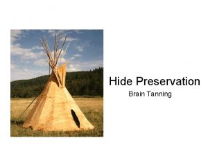 Hide Preservation Brain Tanning Brain Tanning a natural